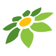 LINK TOKEWIN